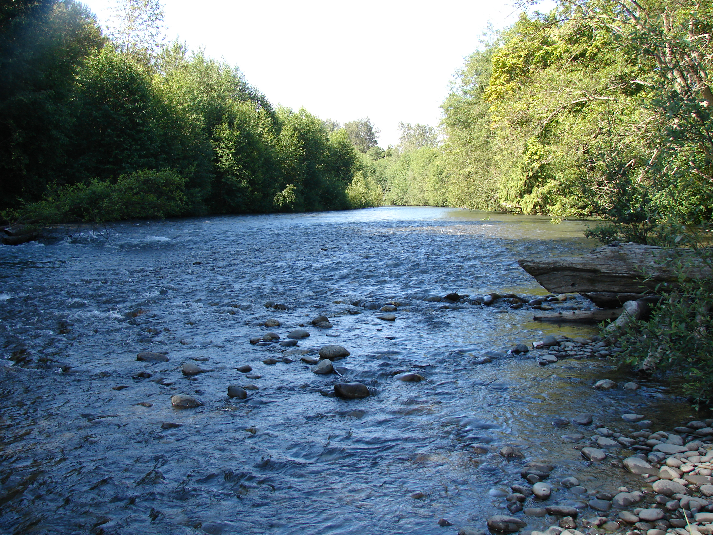 2015 Stream monitoring in the Northern Olympic Peninsula PPO Home Washington State University